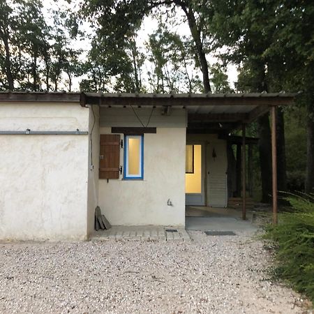 Gite De La Fontaine Bondree Vernou-sur-Brenne Екстериор снимка