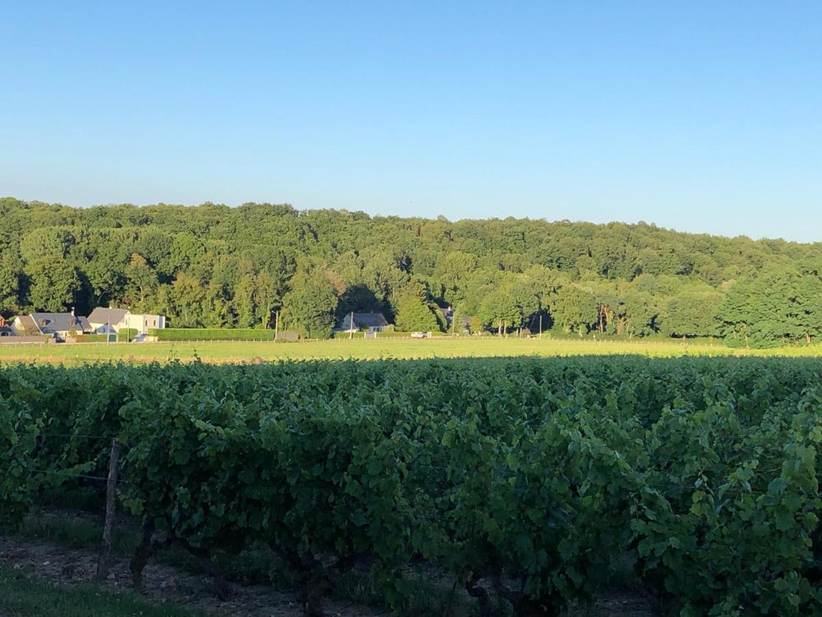 Gite De La Fontaine Bondree Vernou-sur-Brenne Екстериор снимка